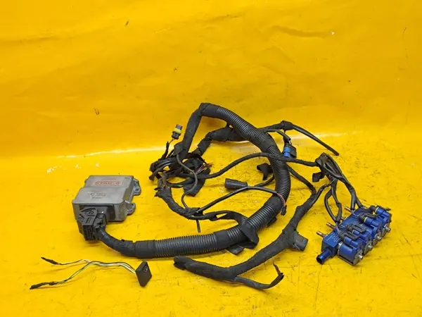 Kit GPL STAG-4 OEM - Conjunto de Bobines 4 Cilindros image 2