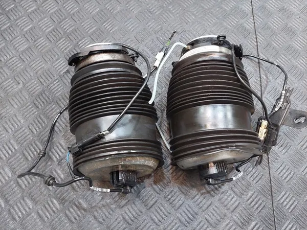 Mola a ar traseira Mercedes E 350 W213 2.0 CGI Hybrid image 1