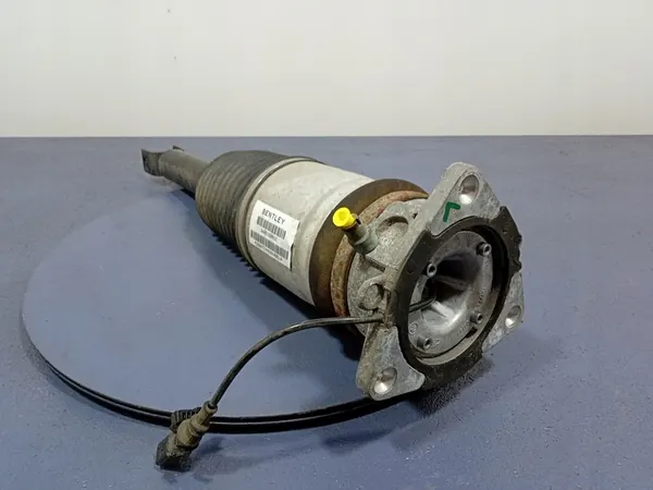 Ammortizzatore posteriore sinistro BENTLEY CONTINENTAL GT GTC I 3W0616001E image 5