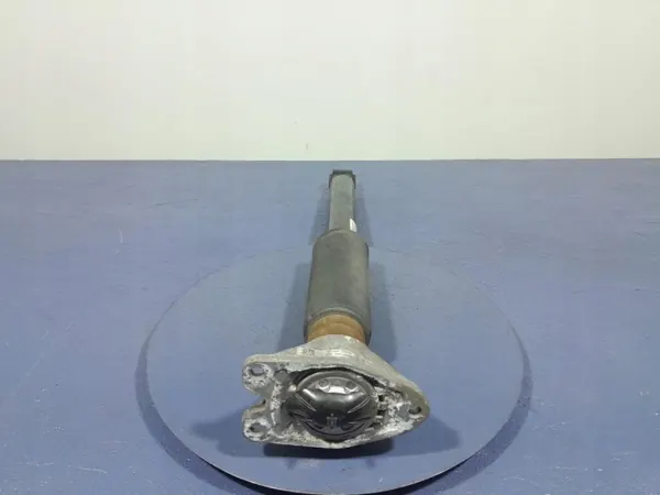 Amortisseur Arrière Gauche BMW OE OEM 6883873 image 3