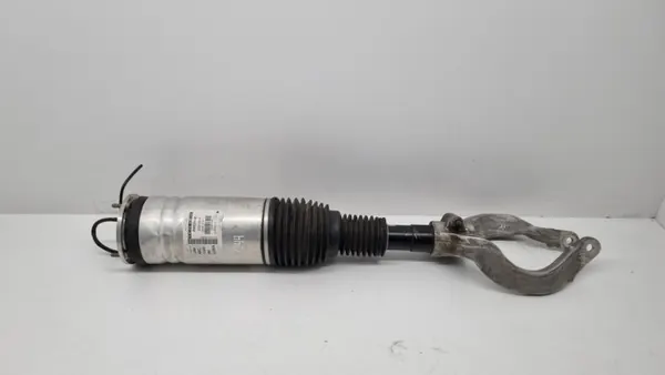 Amortecedor pneumático OEM 22311356 dianteiro direito image 2