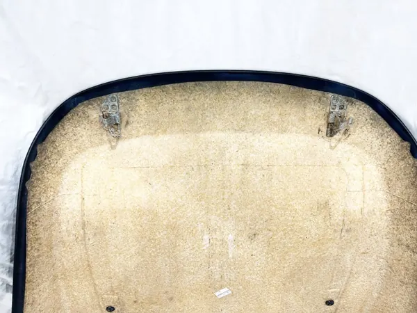 Bolsa respaldo asiento BMW E65 OEM 7015655 Negro image 8
