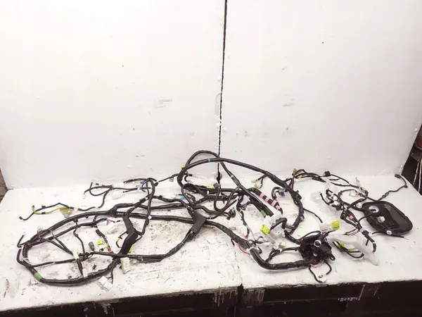 Bedrading Lexus ES 300h 2021 OEM 828173T380 image 1