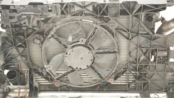 Etunauha OEM 360208956 Renault Megane III 08-12 image 4