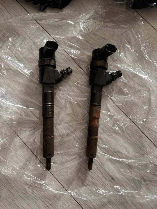 Inyector Bosch 0 445 110 300 image 2