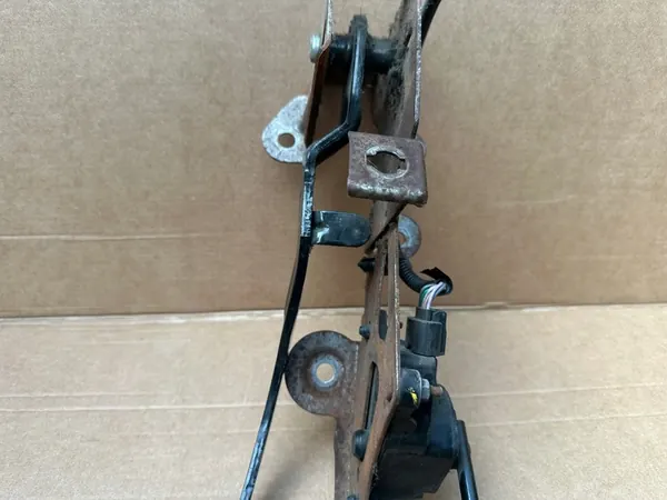 Gaspedaal RENAULT KANGOO II 1.5 DCI 8200436864 image 4