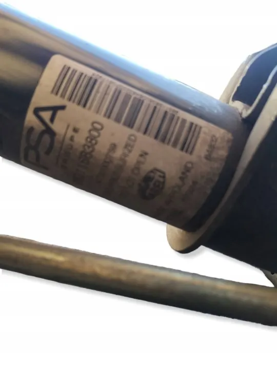 Pivot de direction gauche avant OEM 98311683800 Peugeot image 3