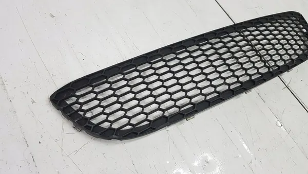 BMW OE 8061127 griglia paraurti image 2