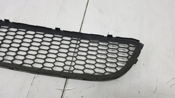 BMW OE 8061127 griglia paraurti image 3
