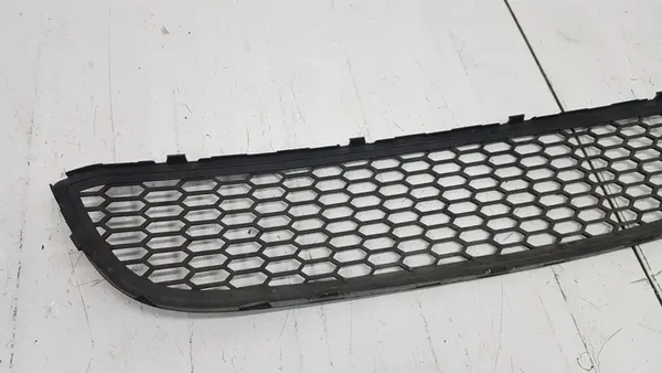 BMW OE 8061127 griglia paraurti image 4