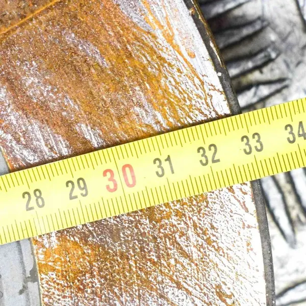 Disco de Freio Traseiro Esquerdo Maserati Levante SUV (M161) 670105705 image 6