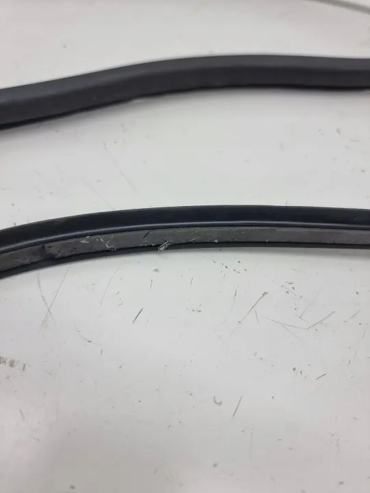 Joint de toit ouvrant BMW X7 G07 2021 OEM 7485602 image 6