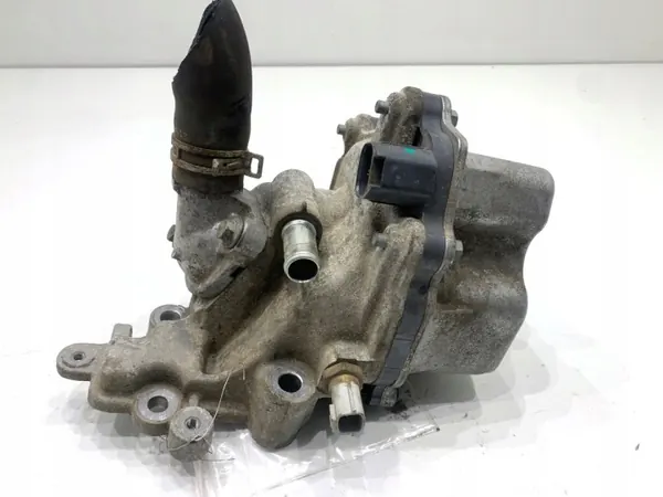 Vesipumppu OEM 110614PM0A Renault Arkana I:lle image 2