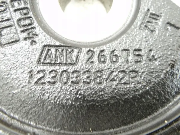 DACIA SANDERO III 1.0 TCE Polia do Virabrequim 123033842R image 5