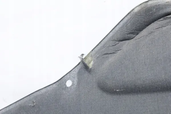 Motorhuv Isolering BMW G30 G31 7352219 image 5