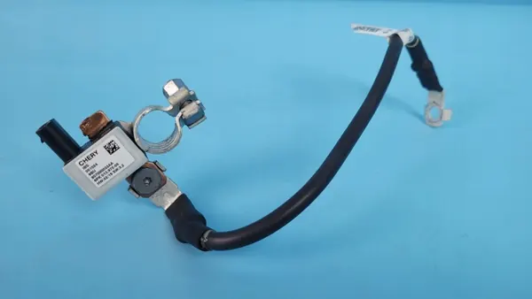 OEM 807000033AA accuklem zekering voor Cherry Omoda 5 image 2