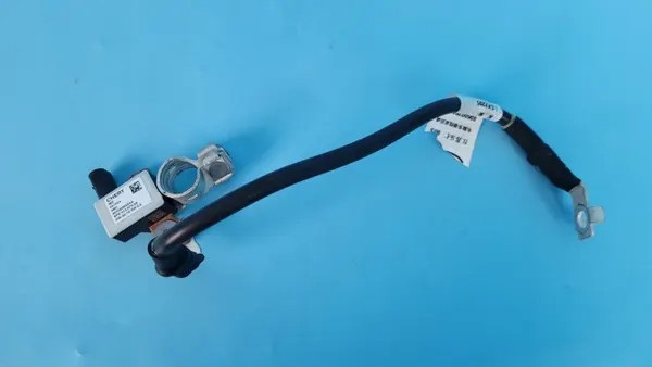 OEM 807000033AA accuklem zekering voor Cherry Omoda 5 image 10