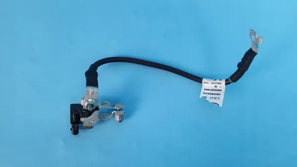 OEM 807000033AA accuklem zekering voor Cherry Omoda 5 image 3
