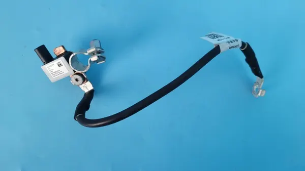 OEM 807000033AA accuklem zekering voor Cherry Omoda 5 image 6