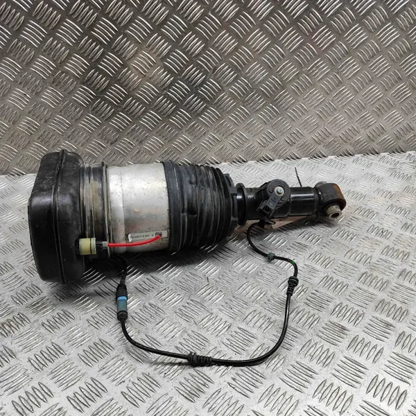 Amortiguador neumático trasero derecho OEM 6869047 BMW X5 image 3