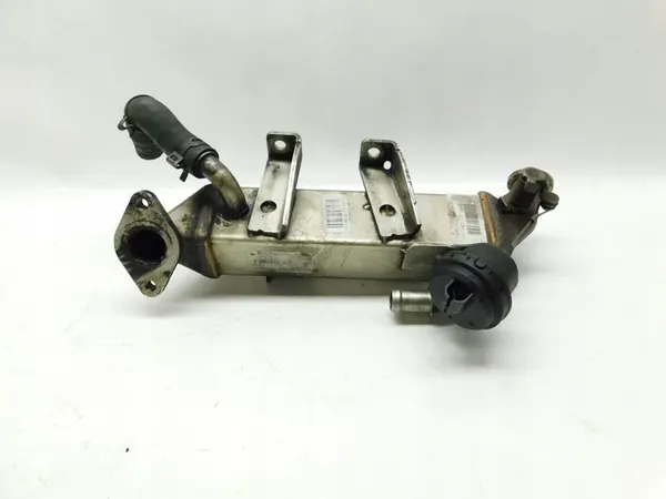 Enfriador de escape 8200719993 - Renault MEGANE SCENIC III 2.0 DCi image 2