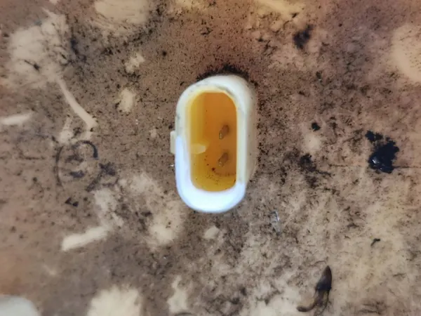 Sensor de nivel de combustible Mercedes-Benz CLS C218 X218 2014 A2124700794 image 6