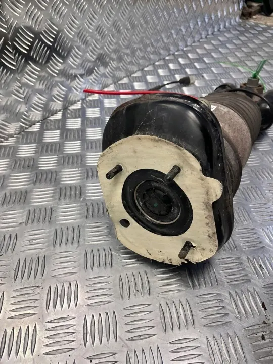 BMW Stötdämpare OEM 6882823 Vänster Bak image 4