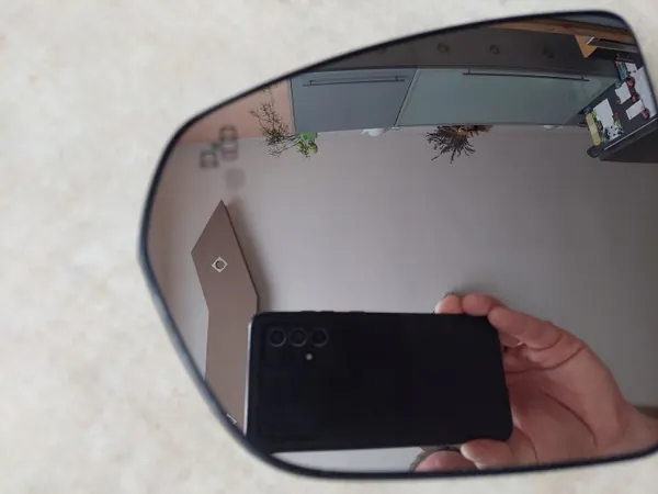 Insert miroir gauche OEM 2159-3019-1 avec assistant image 3