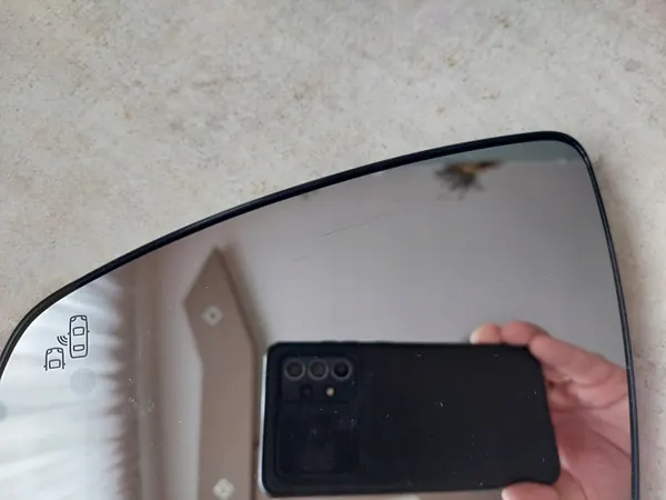 Insert miroir gauche OEM 2159-3019-1 avec assistant image 4