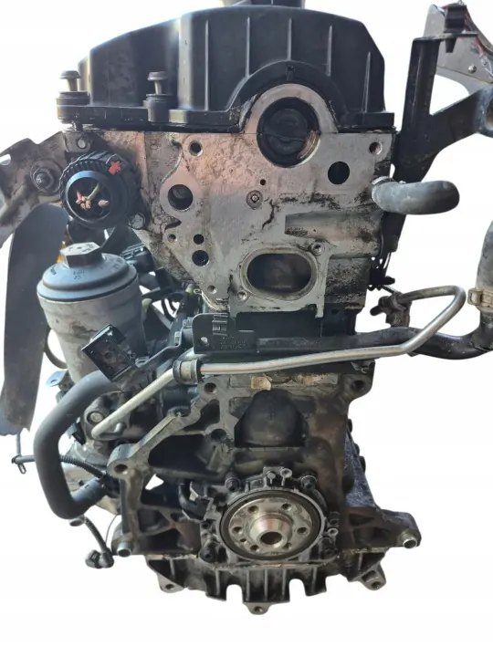 Moottori AUDI A3 8P / GOLF V 1.9 TDI 105KM BXE image 3