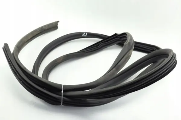 Junta porta dianteira direita OEM 374907 Opel Vivaro B image 3