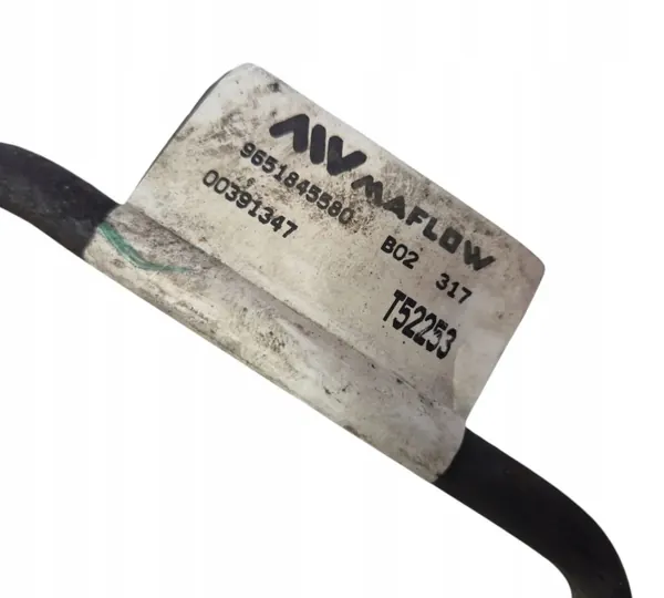 OEM 9651845580 Conduit Suspension Air Gauche Arrière image 4