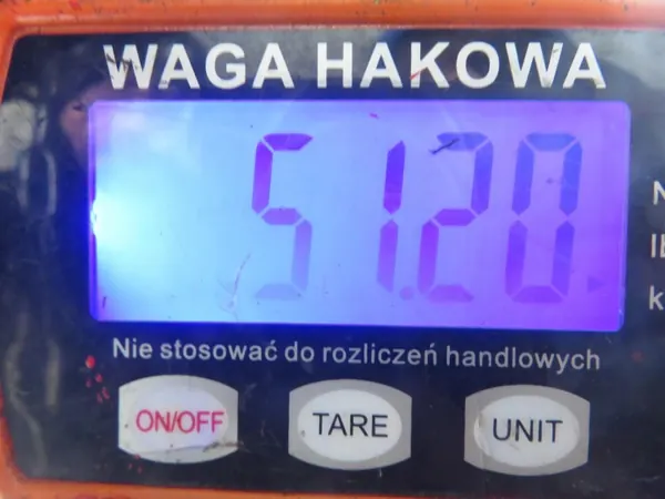 Frammotorfäste OEM SANKI PRZÓD HYUNDAI TRAJET 2.0 CRDi 113 image 10