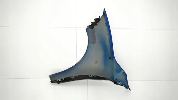OEM 360153179 Fram-höger stänkskärm för Renault Megane III image 10