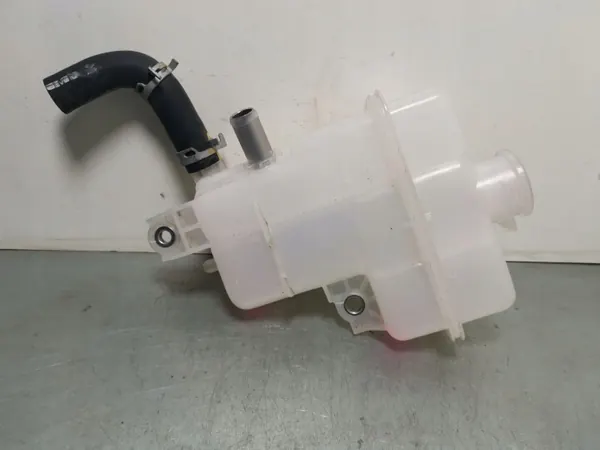 Expansionstank OEM FBZ13319 Toyota RAV4 2020 image 2