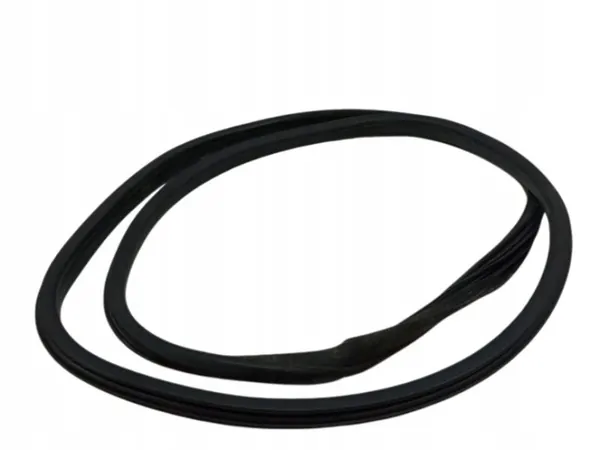 Türdichtung Vorne Links OEM 5907911266707 für Peugeot Partner II image 2