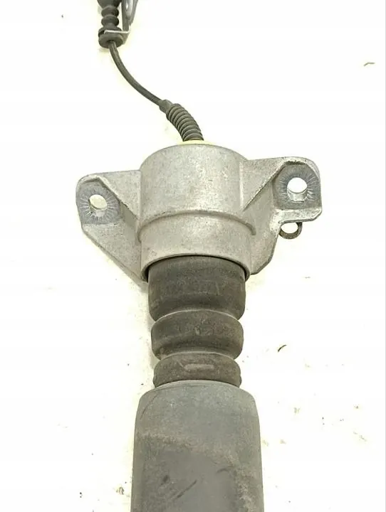 Ammortizzatore posteriore sinistro Porsche MACAN 2015 95B513035E image 3