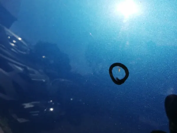 Capô do motor KIA CEED 2009-2012 image 5