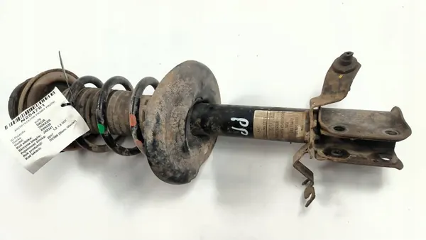 Ammortizzatore Anteriore Destro Dacia Dokker 543028938R image 3