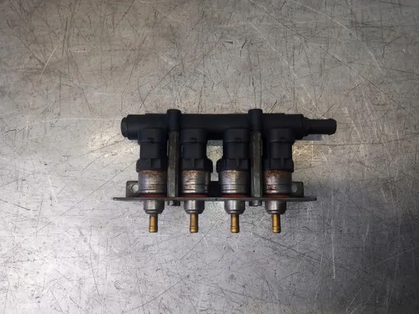LPG-Einspritzschiene OEM 67R-016409 für Citroen Berlingo image 2