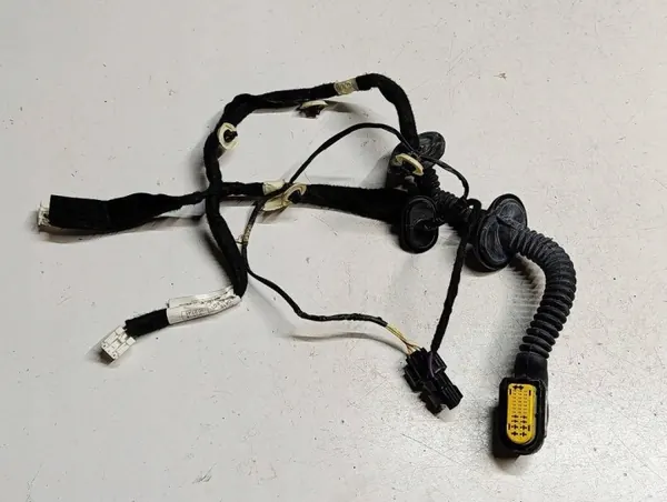 Faisceau de porte arrière droit OEM 241260627RS5 image 2
