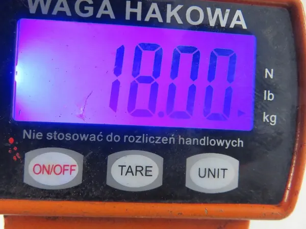 Molla posteriore Iveco Daily VI 5801642218 image 2