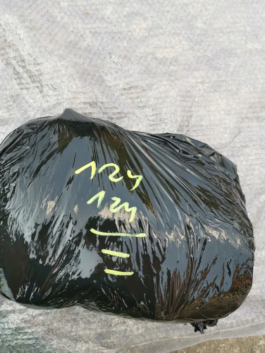 Kompressori 1161310201 3.0 Mercedes W124 image 5