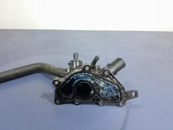 Caja Termostato Nissan OE 313811/Lochow image 4