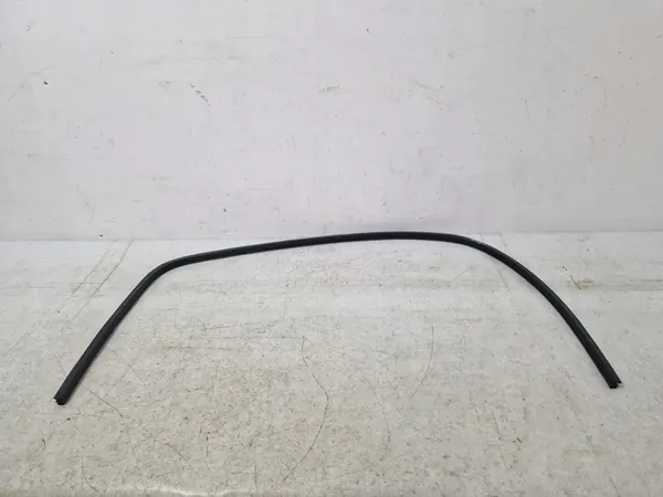 DODGE CHALLENGER 2015- Dichtung vänster dörr image 2