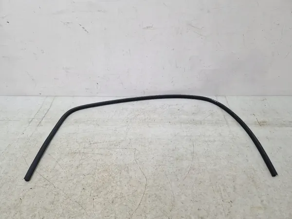 DODGE CHALLENGER 2015- Dichtung vänster dörr image 3