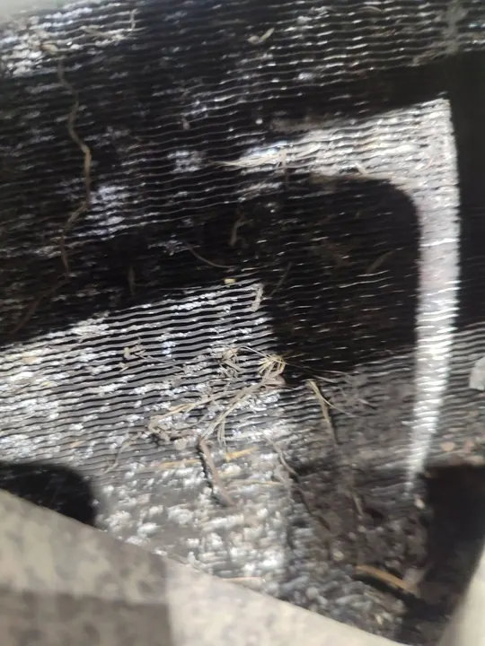 MERCEDES SL R129 SL500 V8 Vattensradiator 1295000103 image 3