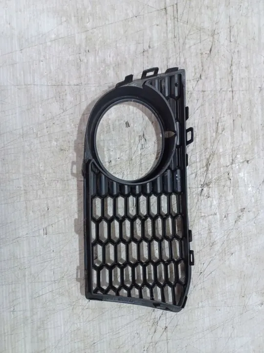 BMW 5 F10 F11 M-Pakket Rooster OEM 7906198 Voor Rechts image 7