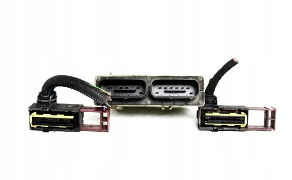 Módulo Ventilador Opel OEM 24462346 15408375 WJ image 3