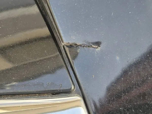 Paraurti Anteriore VW Passat B5 Lift Cromo Alogeno image 8